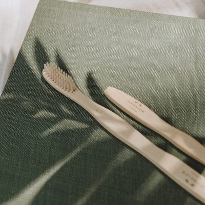 ¿Por qué elegir cepillos dentales de bambú?