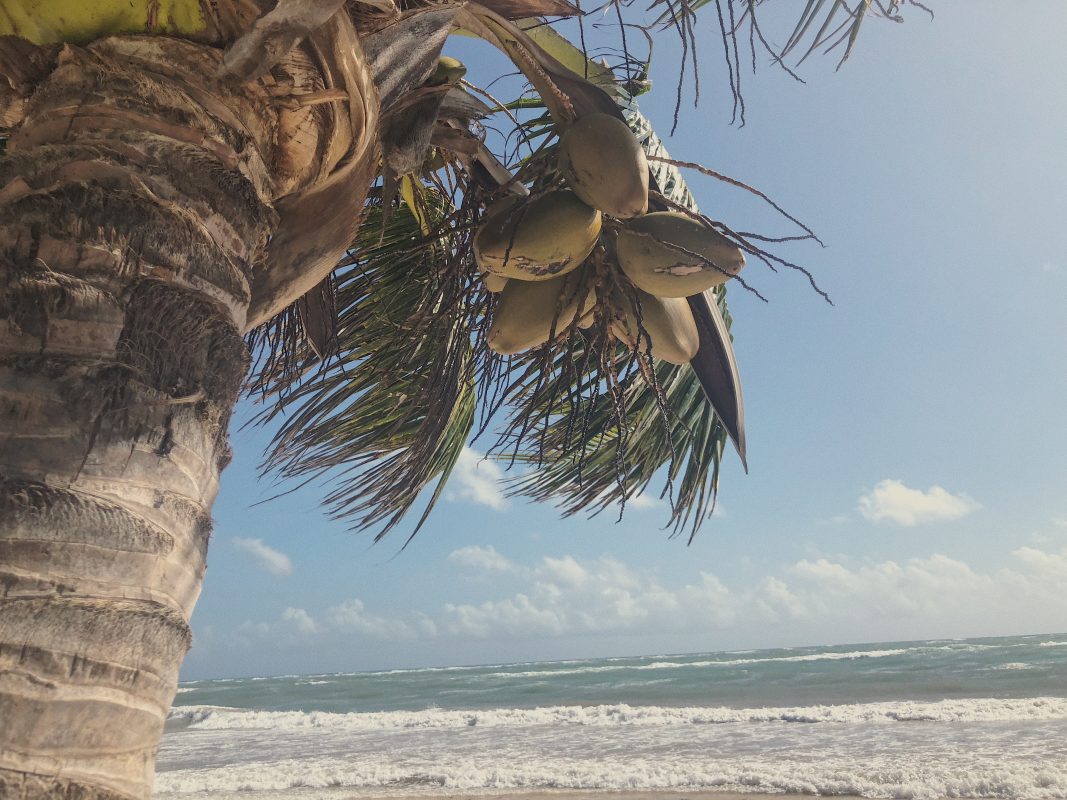 “Ambientalista imperfecto”