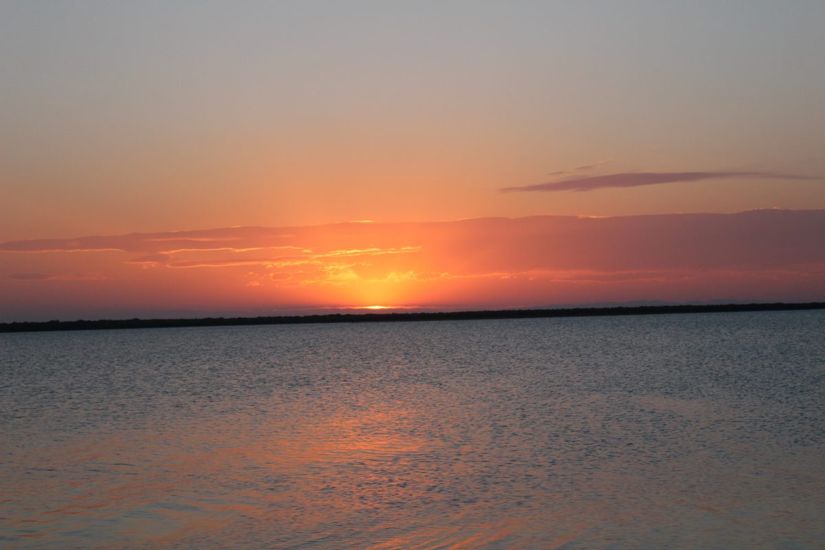 Meditación sobre Gratitud