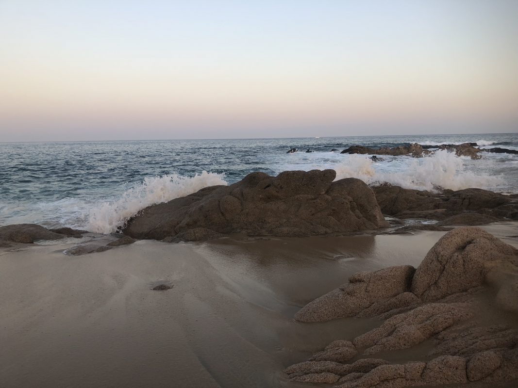 Frases favoritas sobre ecología