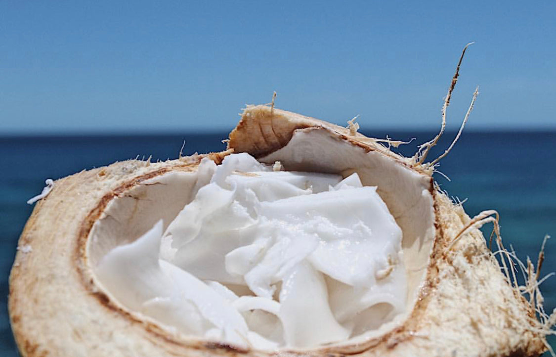 Productos de coco orgánico hechos en México