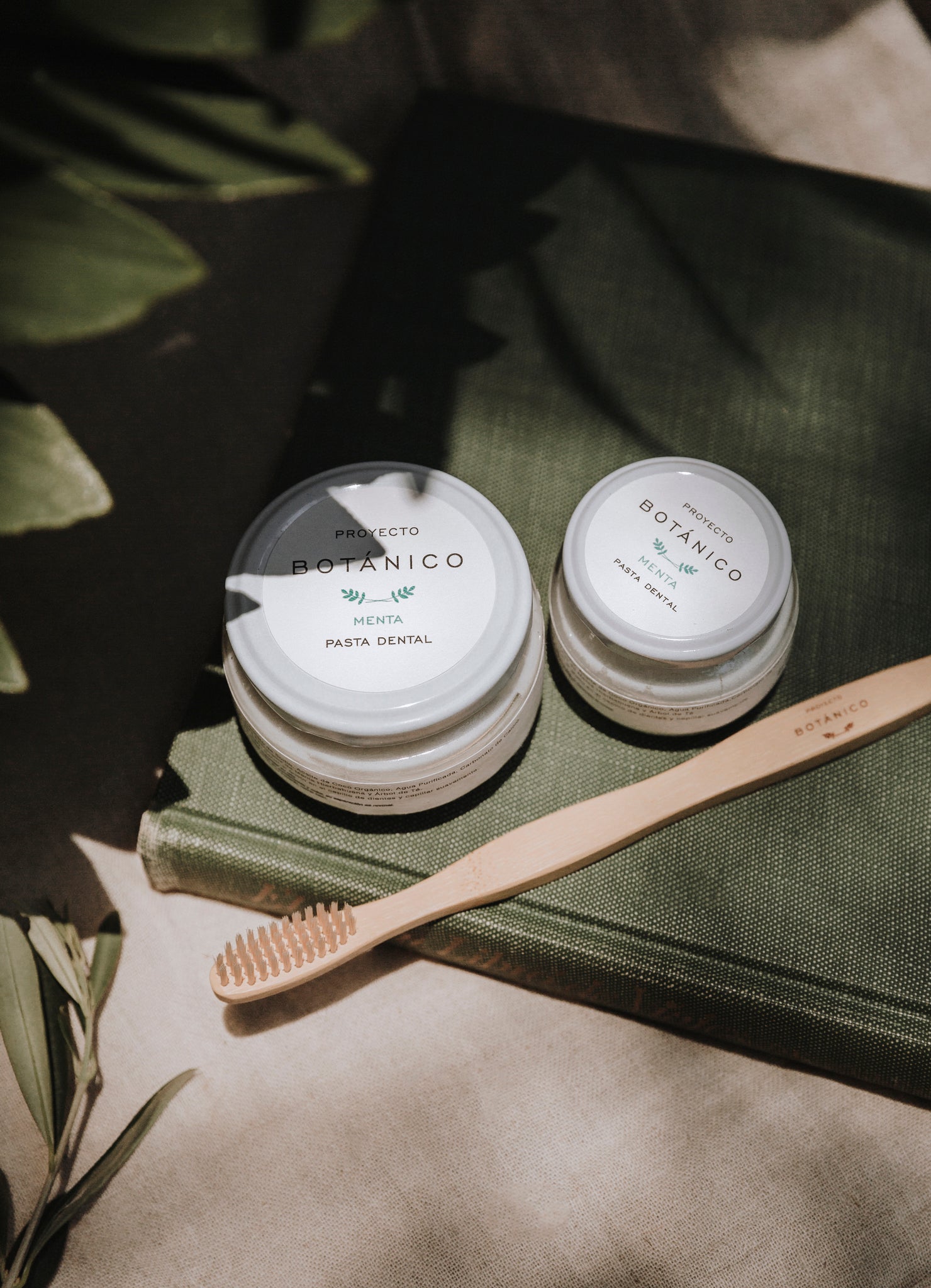 Mención CoolHunterMx Ago´20