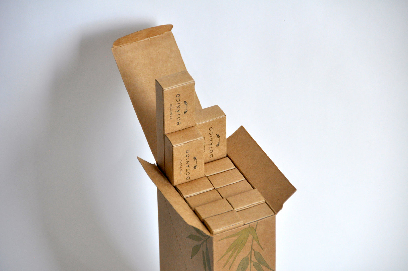 Cepillo dental de bambú ADULTO (12 piezas)