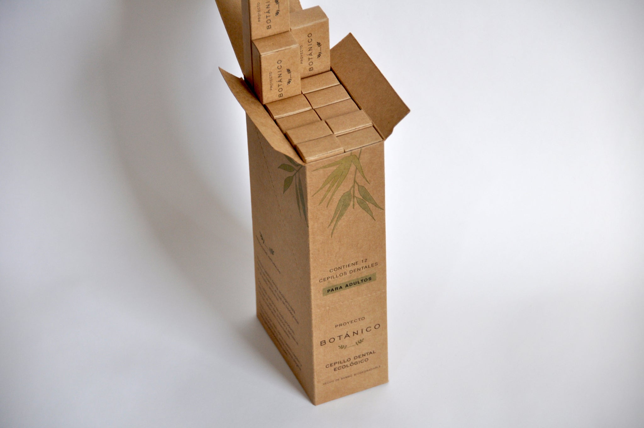 Cepillo dental de bambú ADULTO (12 piezas)