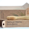 Cepillo dental de bambú ADULTO (12 piezas)