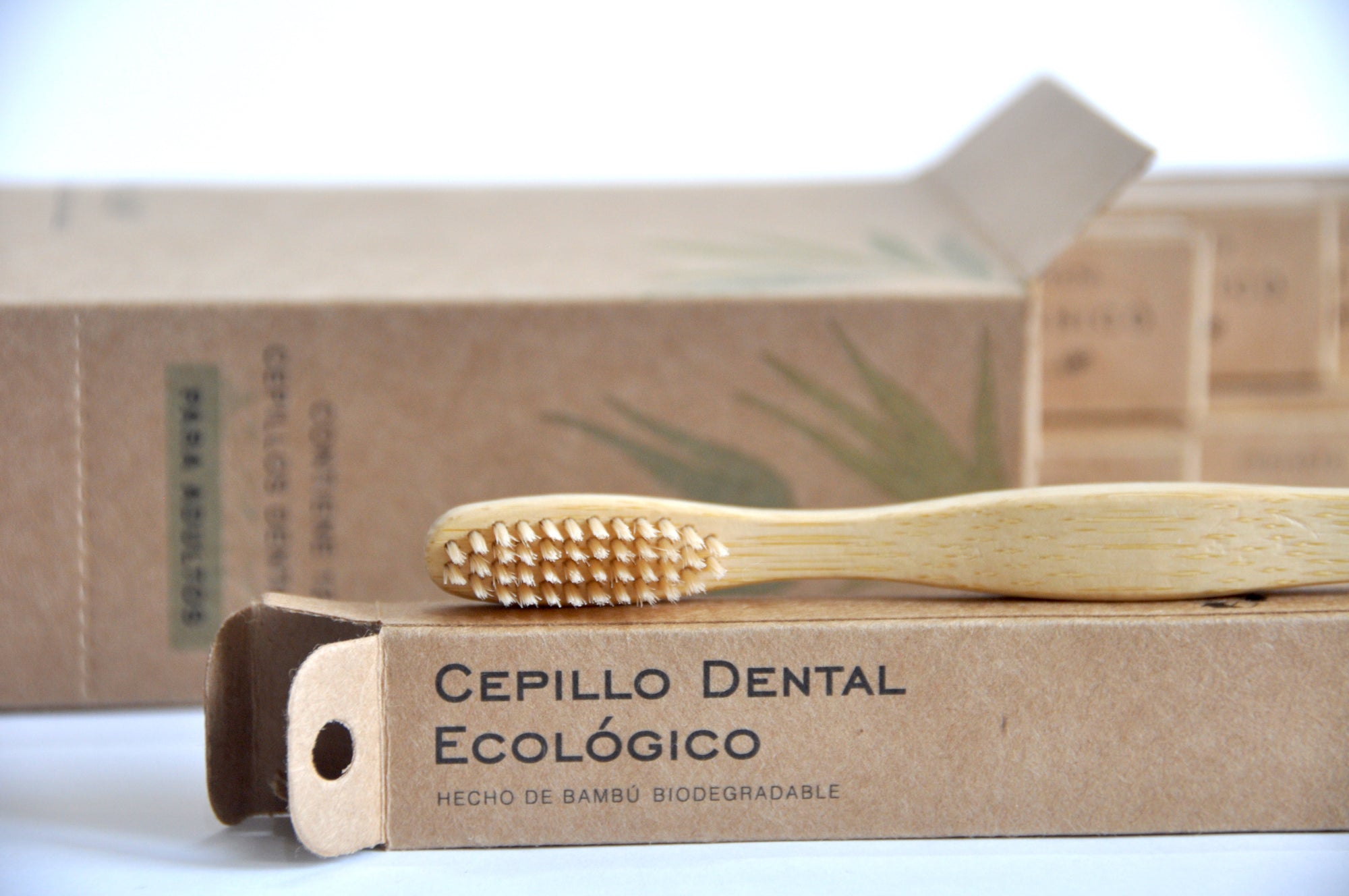 Cepillo dental de bambú ADULTO (12 piezas)
